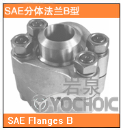 分體法蘭B型